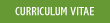 Curriculum Vitae